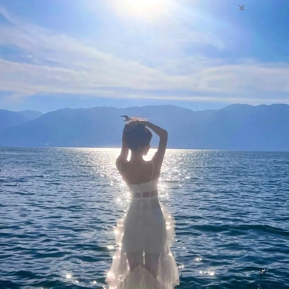 孔雀诡计 海报