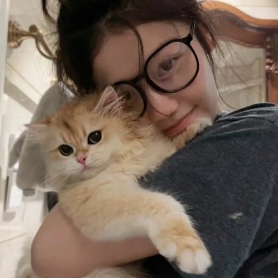 无敌拍档之万无一失 海报