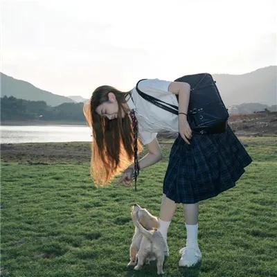 续·社长行状记 海报